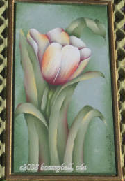 bctulip.jpg